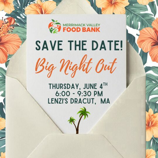 Sponsor, Attend or Support MVFB’s 5th Annual Big Night Out!